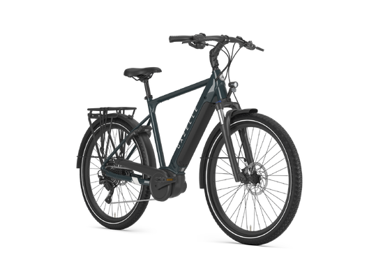 Gazelle Medeo T10