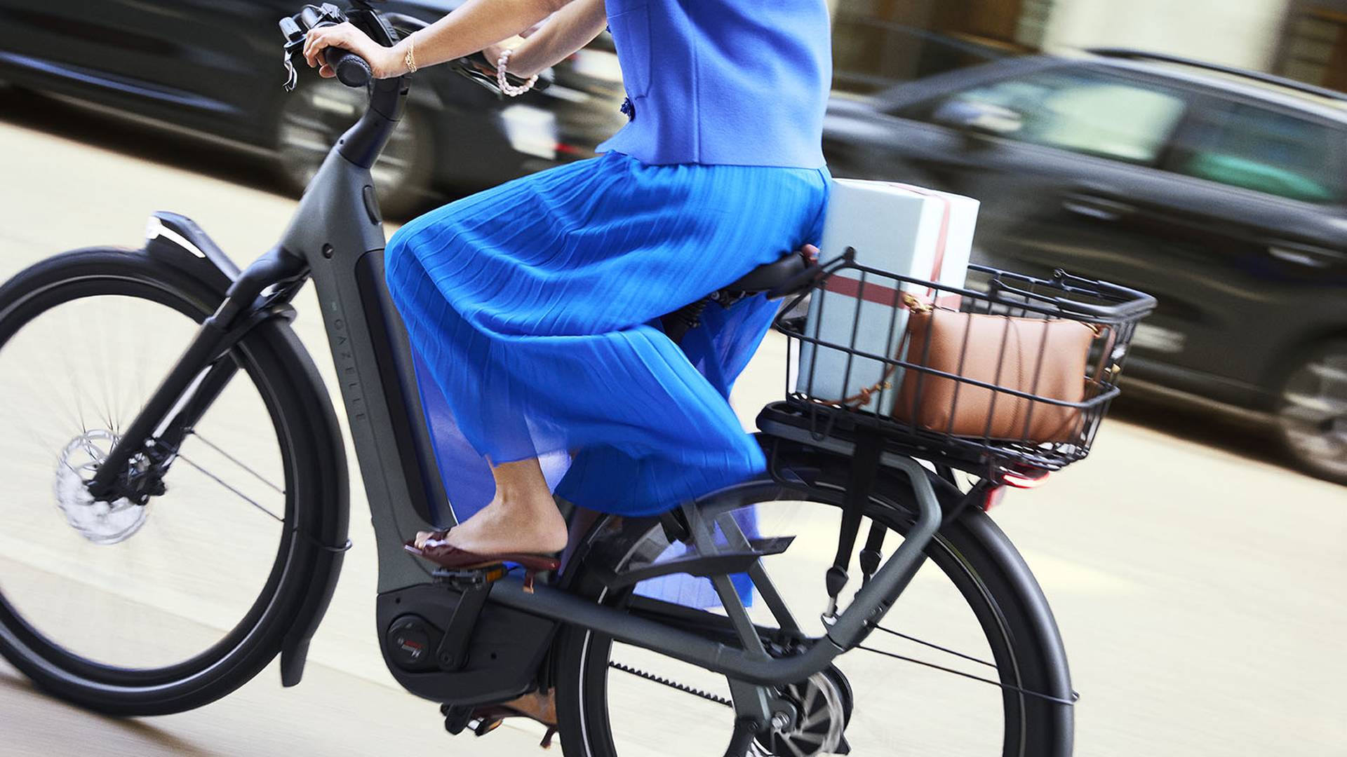 250217_Gazelle_4375_aRGB_LOW