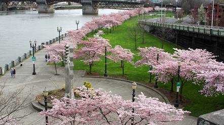 WATERFRONT LOOP