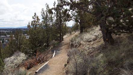 Larkspur Trail