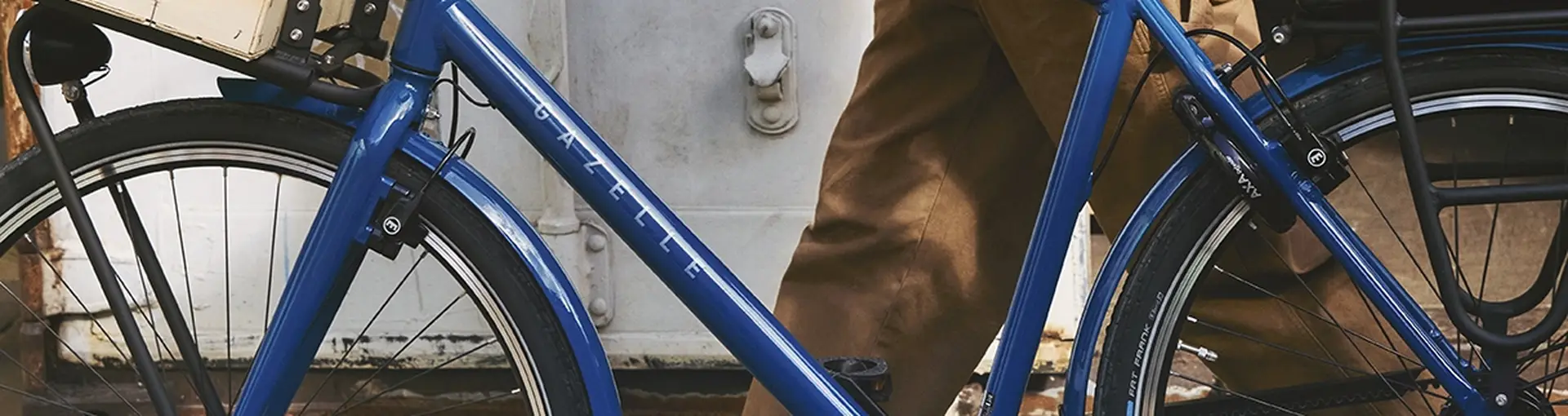 A person in a blue jacket walks alongside a blue bicycle with a front crate filled with produce, including broccoli and other greens.