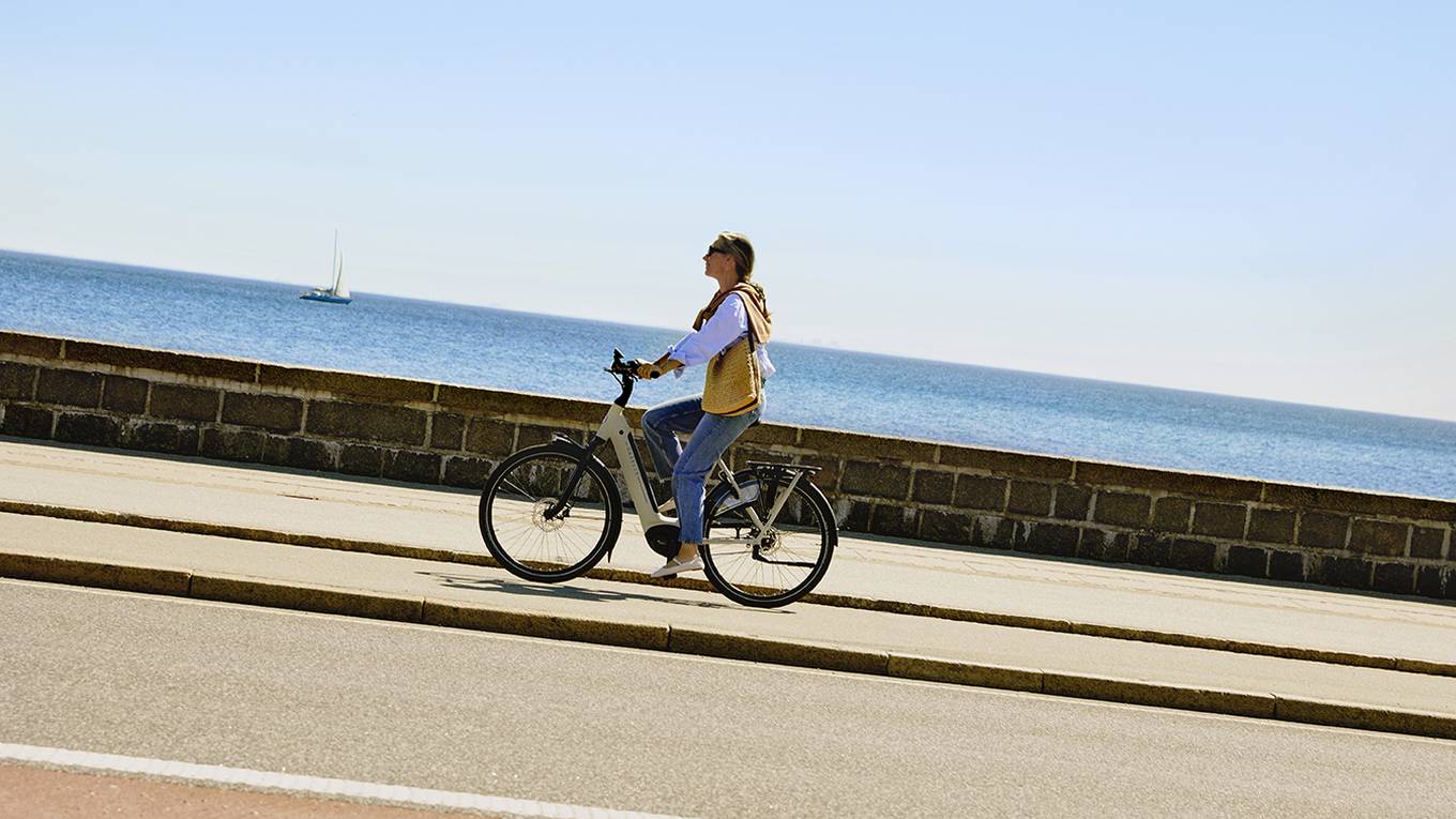 250217_Gazelle_1800_WithoutHelmet