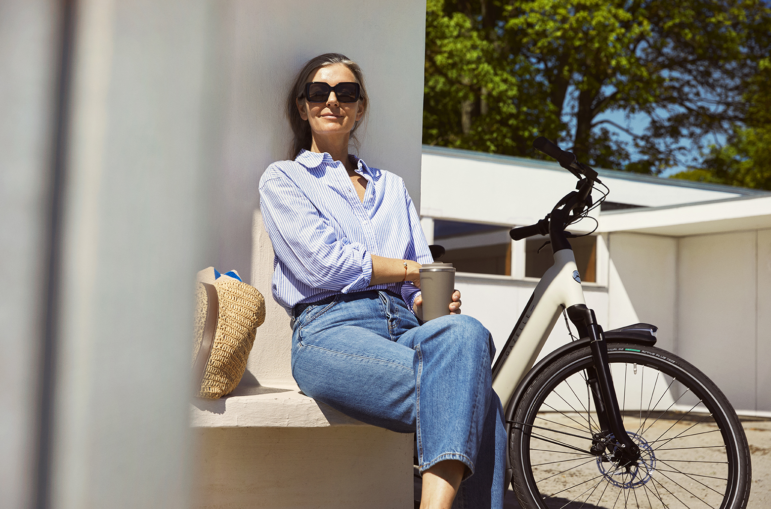 Gazelle Arroyo C7 Elite E-Bike