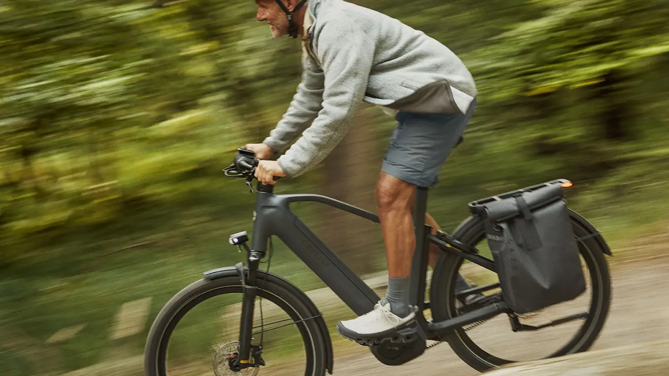 Gazelle_1603_aRGB_LOW