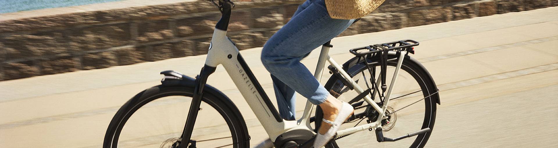 250217_Gazelle_1931_aRGB_LOW