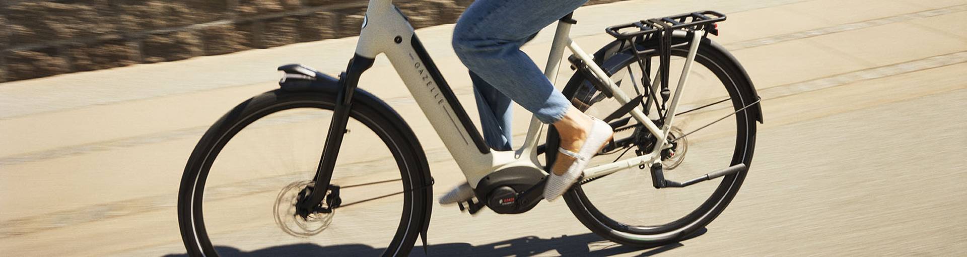 250217_Gazelle_1931_aRGB_LOW