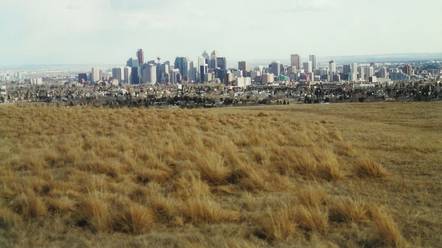 Nose Hill Park