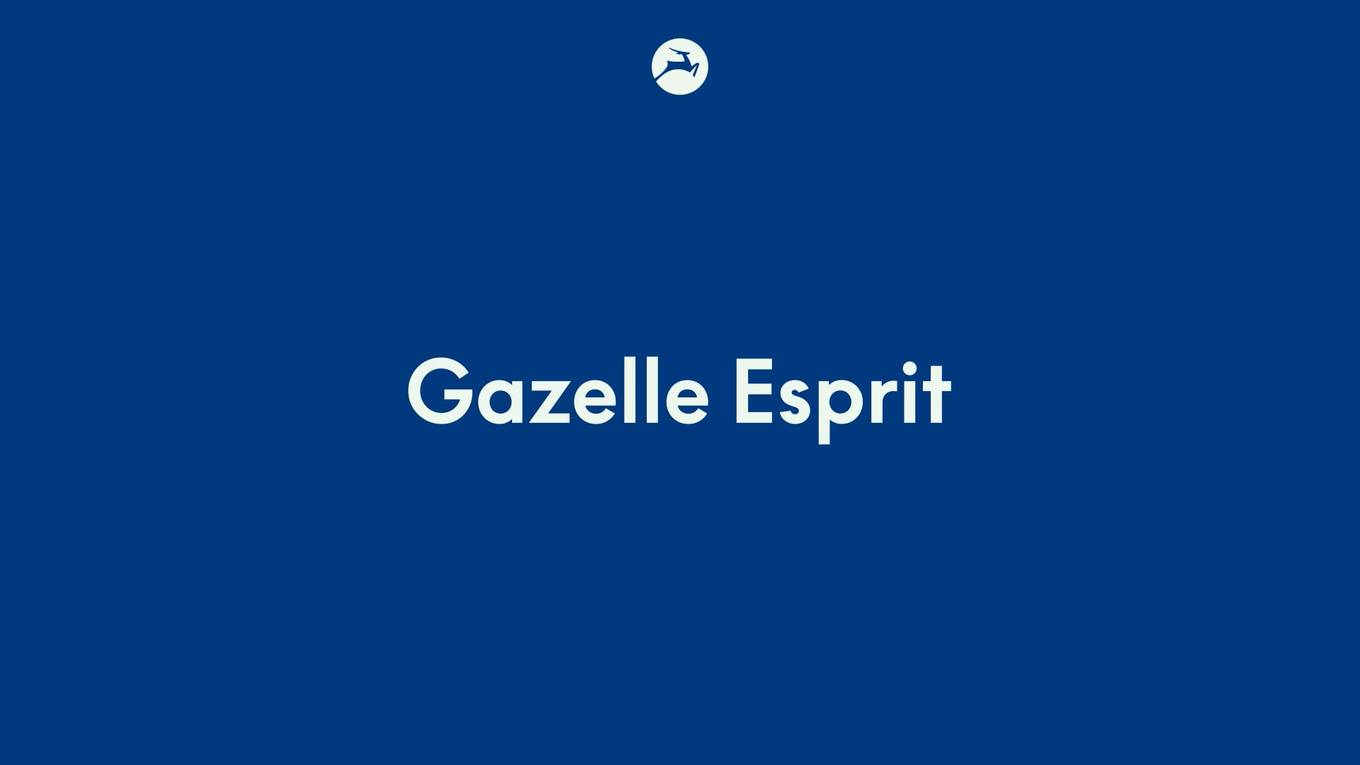 Gazelle esprit - thumbnail