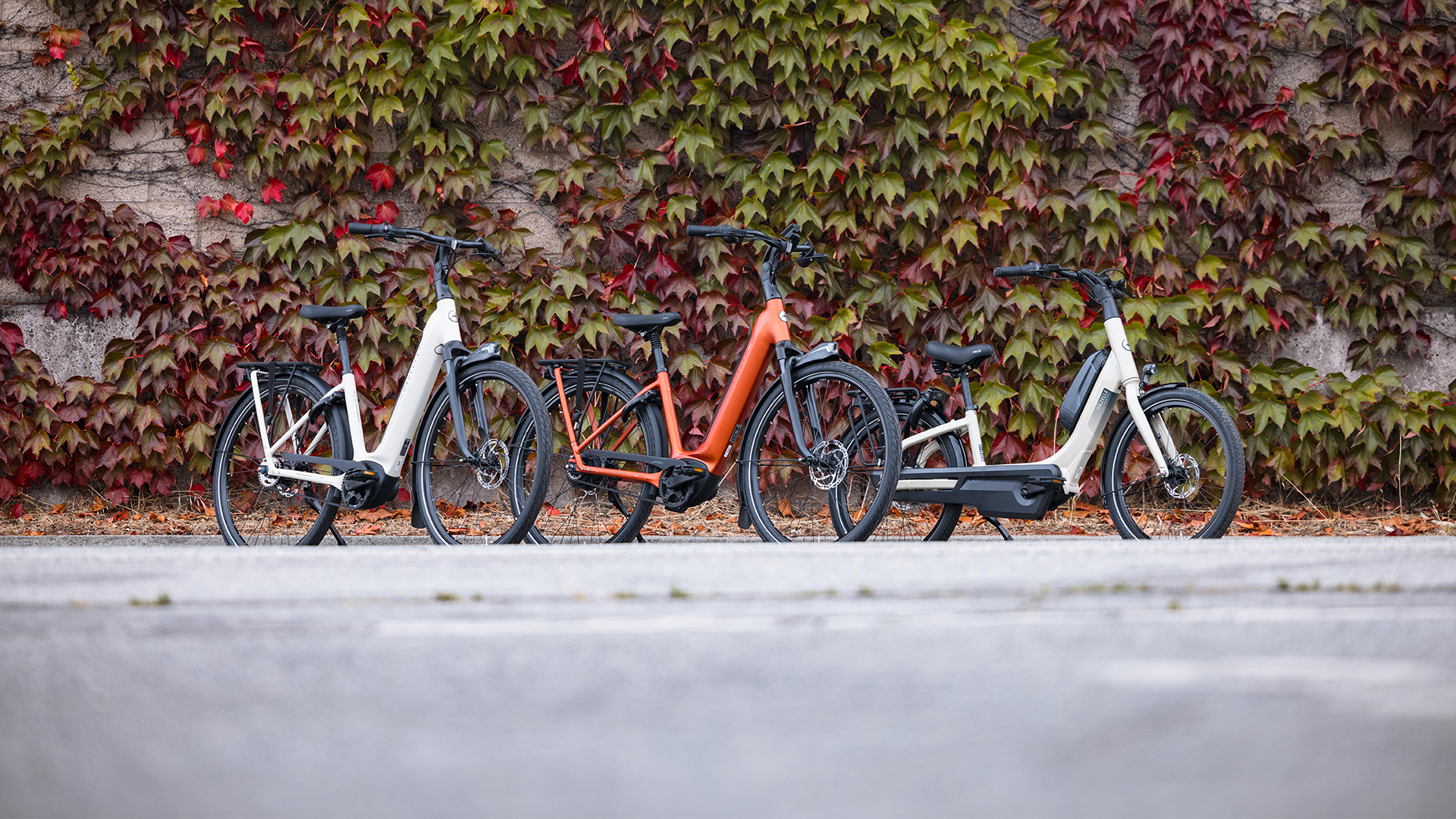 Fall New Models Header