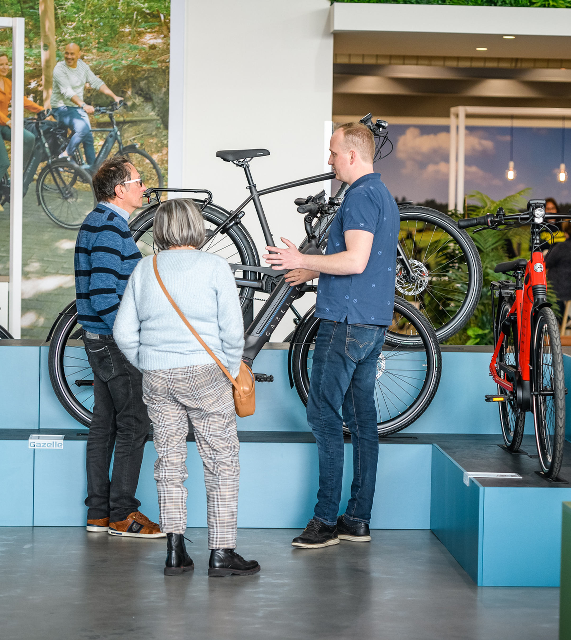 Gazelle bike size guide clearance