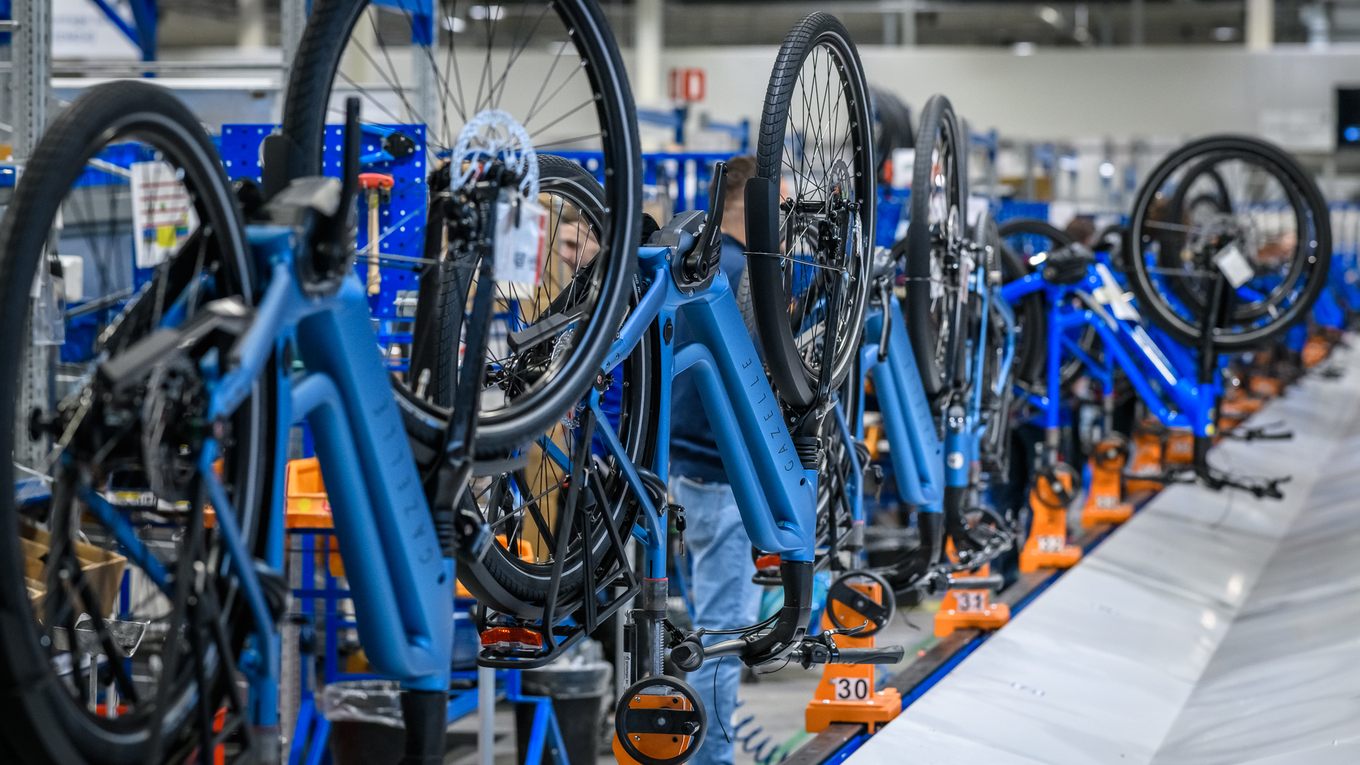Gazelle factory
