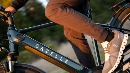  Manual gates carbon drive