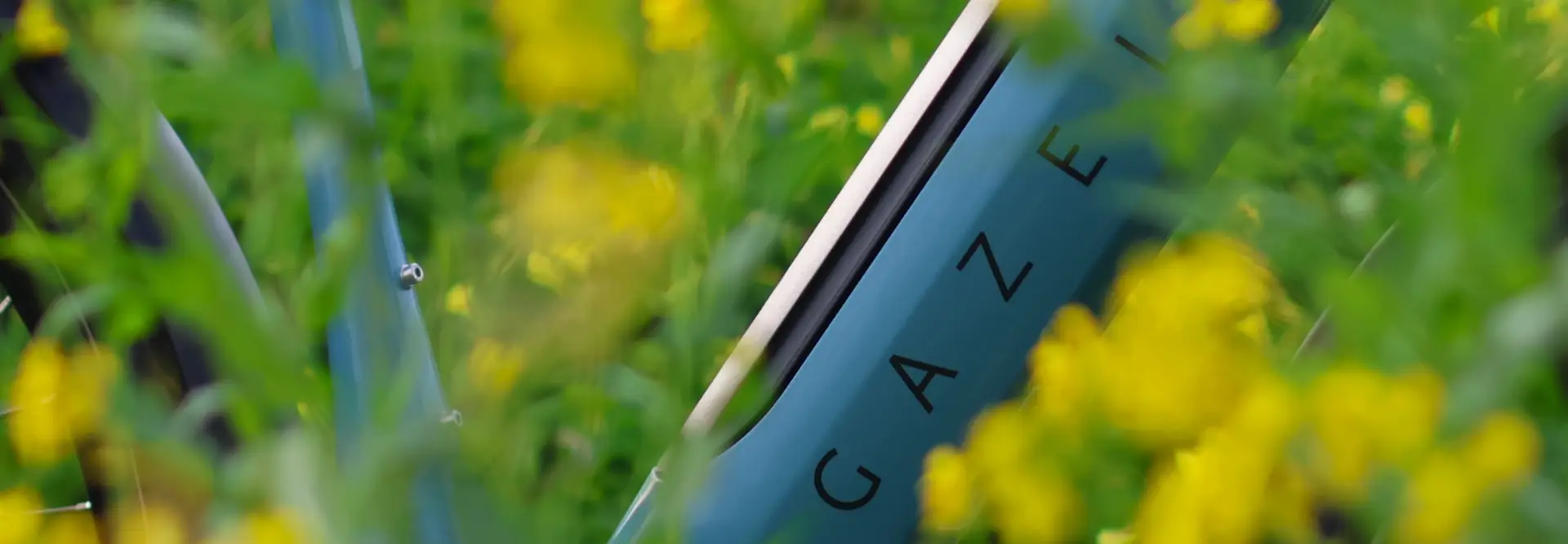 Spring Sale Header