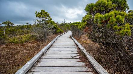 Seaside Loop