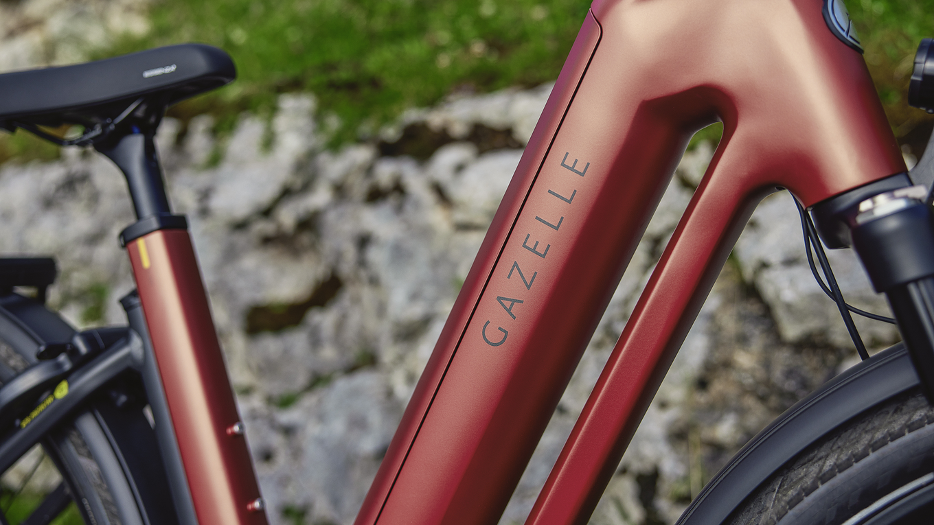 Gazelle Eclipse