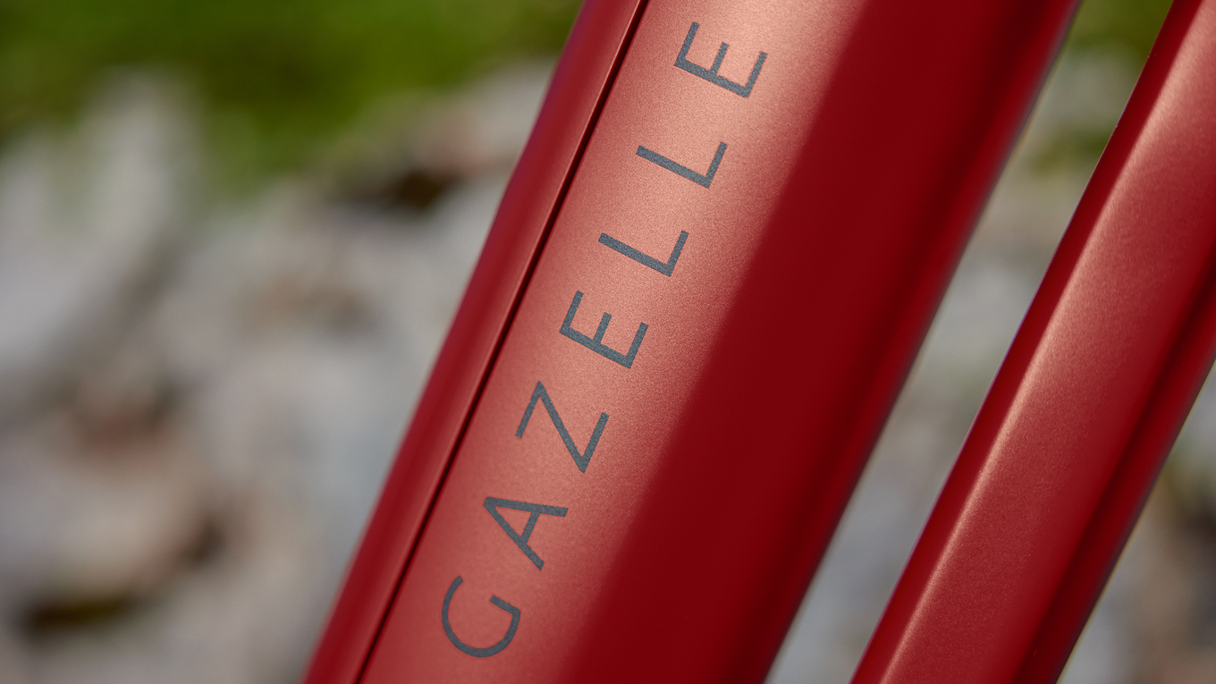 Gazelle Eclipse