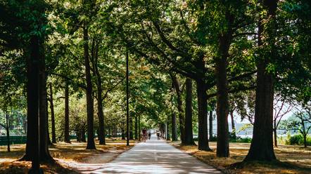 Southwest Corridor Park