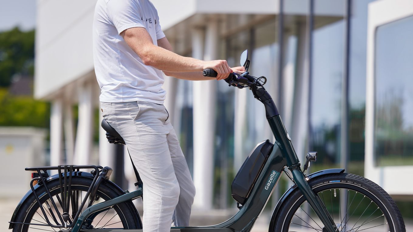 Gazelle Easyflow (4)