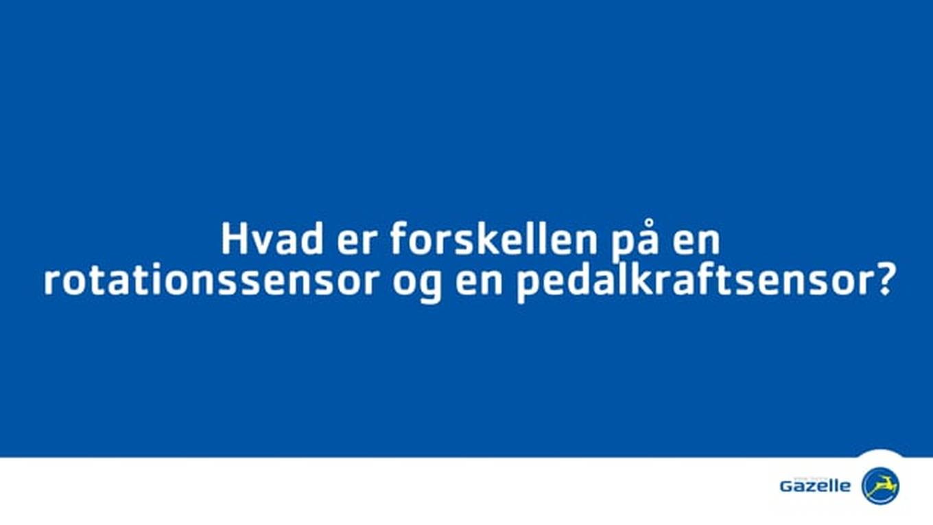 dk_1036727782