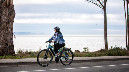Coastal Cruise