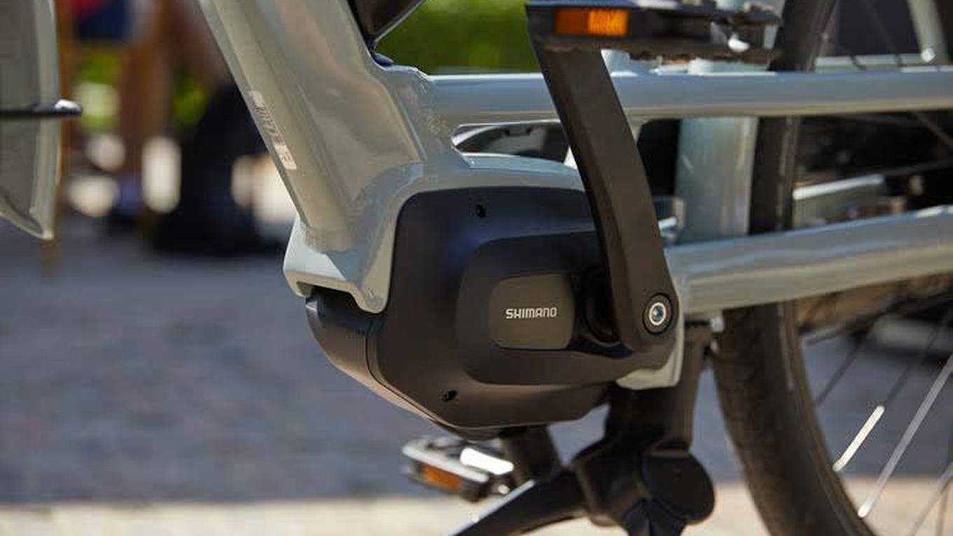 bloom_motor