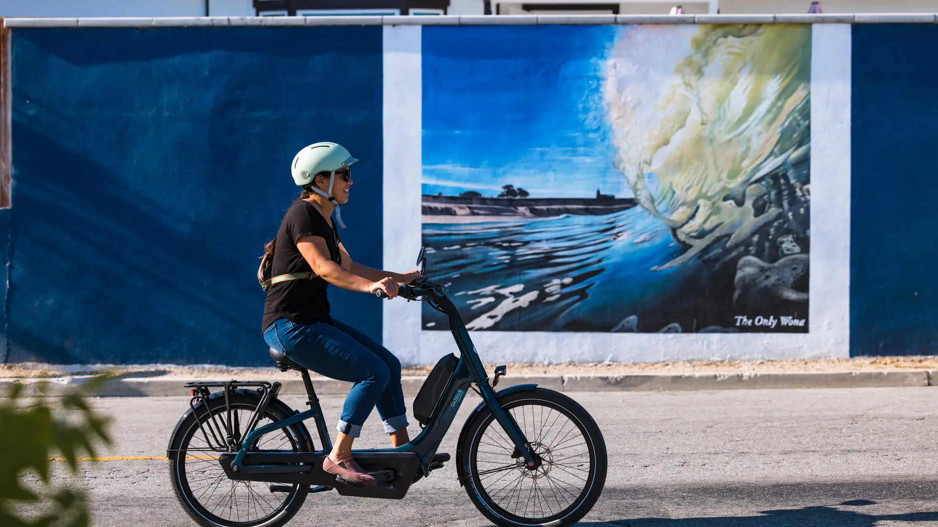 Gazelle_JBecker-2146